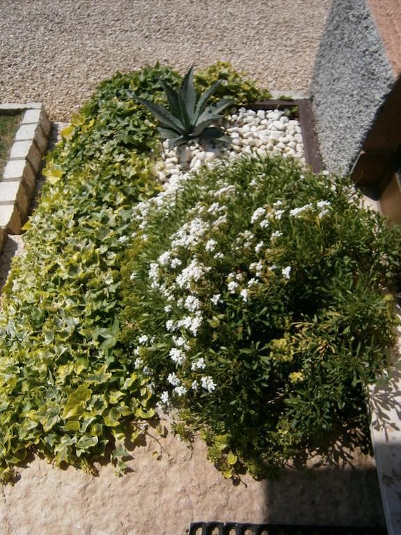 B&B Carmen Biondani Pescantina Εξωτερικό φωτογραφία
